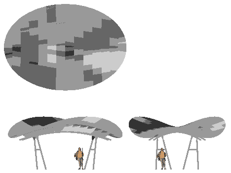 Large Canopy Views